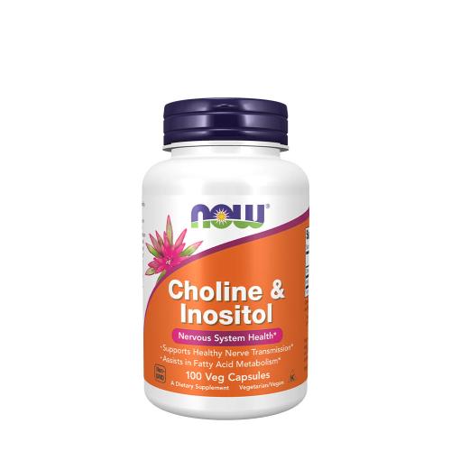 Now Foods Choline & Inositol 500 mg (100 Veg Capsules)