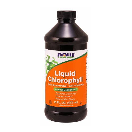 Now Foods Chlorophyll Liquid (473 ml, Mint)