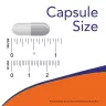 Now Foods Brain Elevate Veg Capsules (60 Veg Capsules)