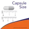 Now Foods Celadrin & MSM 500 mg (120 Capsules)