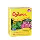 Now Foods Ojibwa Tea (24 Tea Bags)