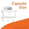 Now Foods Eye Moisturize with MaquiBright® (60 Veg Capsules)