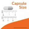 Now Foods Magnesium + Ashwagandha (120 Veg Capsules)