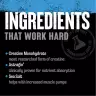 Universal Nutrition Animal Creatine Chews (120 Chewables, Grape)