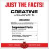 MuscleMeds Creatine Decanate (300 g, Unflavored)