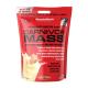 MuscleMeds Carnivor™ Mass (4800 g, Vanilla Caramel)
