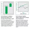 Fit & Lean N-Cla (120 Softgels)