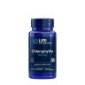 Life Extension Chlorophyllin 100 mg (100 Veg Capsules)