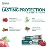 Himalaya Dental Cream Toothpaste (100 g, Pomegranate)