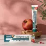 Himalaya Complete Care Toothpaste (75 ml)