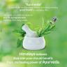 Himalaya Volume Thickness Shampoo  (400 ml, Coconut)