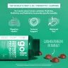 Goli Pre + Post + Probiotics Gummies (60 Gummies)