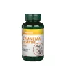 Vitaking Gymnema Sylvestre 400 mg (90 Capsules)