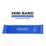 OstroVit Training Bands 4 pcs + bag (1 pc)