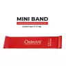 OstroVit Training Bands 4 pcs + bag (1 pc)