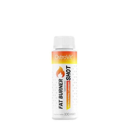 OstroVit Fat Burner Shot without Caffeine (100 ml, Pineapple)