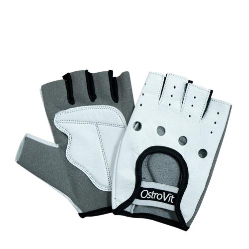 OstroVit Men's Gloves (M)