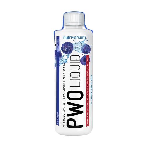 Nutriversum PWO Liquid - FLOW (500 ml, Blue Raspberry)