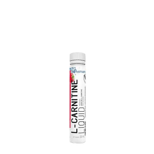 Nutriversum L-Carnitine 2500 mg - FLOW (25 ml, Raspberry)