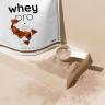 Nutriversum Whey PRO - PURE (1000 g, Raspberry Yogurt)