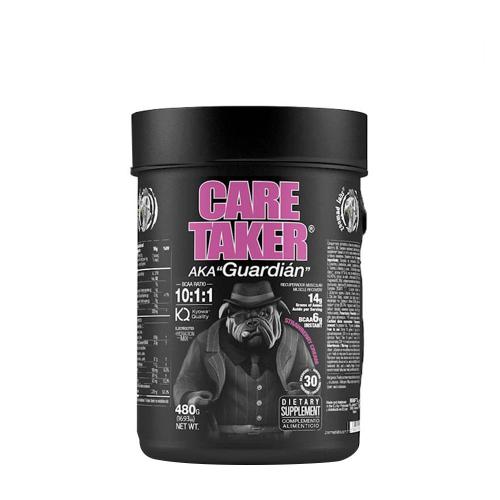 Zoomad Labs Caretaker® BCAAs 10:1:1 (480 g, Strawberry Cream)