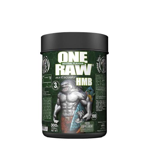 Zoomad Labs Raw One HMB (300 g, Unflavored)