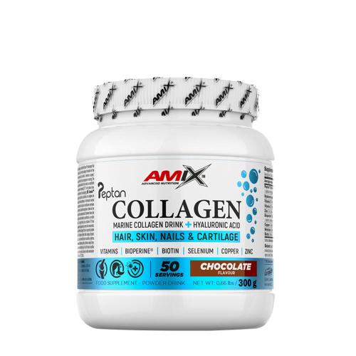 Amix Collagen Marine Peptan Drink (300 g, Chocolate)