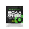 Scitec Nutrition BCAA + Glutamine Xpress (12 g, Watermelon)