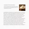 The Body Shop Whipped Matcha and White Chocolate Hand Balm (30 ml)