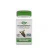 Nature's Way Bladderwrack  (100 Capsules)