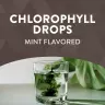 Nature's Way Chlorofresh® Chlorophyll Drops (59 ml)