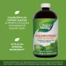 Nature's Way Chlorofresh® Liquid Chlorophyll (480 ml, Mint)