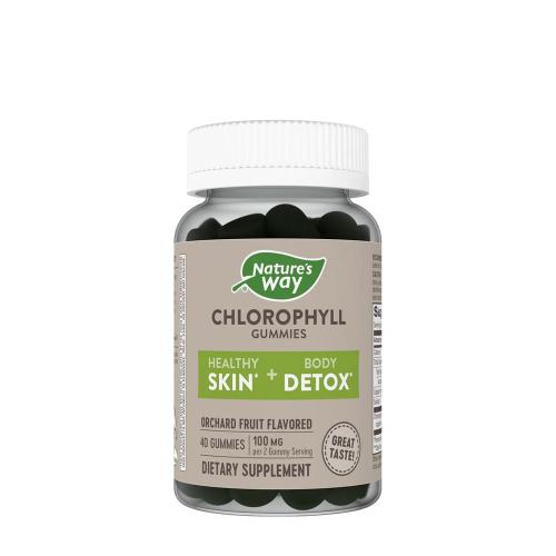 Nature's Way Chlorophyll Gummies (60 Gummies, Fruit)