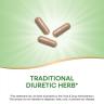 Nature's Way Dandelion Root (100 Capsules)