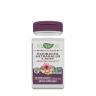 Nature's Way Echinacea Astragalus & Reishi (100 Capsules)