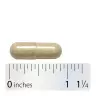 Nature's Way Fenugreek Seed (100 Capsules)
