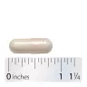 Nature's Way Fortify® Optima® 100 Billion Probiotic (30 Capsules)