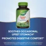 Nature's Way Ginger Root (100 Capsules)