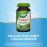 Nature's Way Magnesium Gummy (60 Gummies)