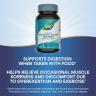 Nature's Way Mega-Zyme® (100 Tablets)