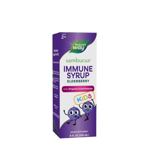 Natures Way Sambucus Immune Syrup for Kids (240 ml, Elderberry)