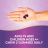 Nature's Way Sambucus Zero Sugar Immune Gummy (50 Gummies)