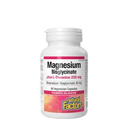   Natural Factors Magnesium Bisglycinate 100 plus L-Theanine 250 mg (90 Capsules)