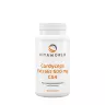 Vitaworld Cordyceps extract 500 mg CS4 (100 Capsules)