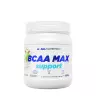 ALLNUTRITION BCAA Max Support (500 g, Apple)