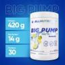 ALLNUTRITION Big Pump Pre-Workout (420 g, Lemon)