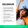 Vitamin360 Selenium 200 mcg – L-selenomethionine, Thyroid Health (60 Veg Capsules)