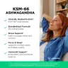 Vitamin360 KSM-66 Ashwagandha® 600 mg (120 Veg Capsules)