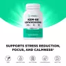 Vitamin360 KSM-66 Ashwagandha® 600 mg (120 Veg Capsules)